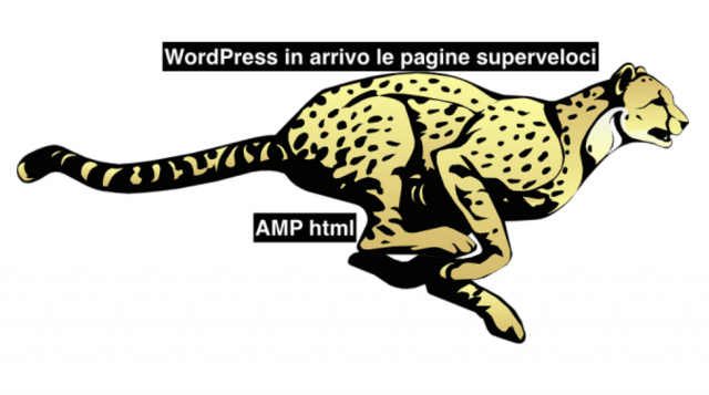 WordPress in arrivo il nuovo formato AMP, Accelerated Mobile Pages.